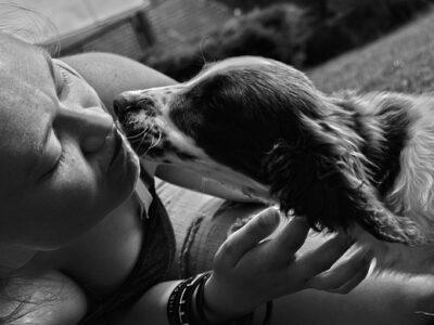 Hondenbed voor mensen: bekijk de beste opties